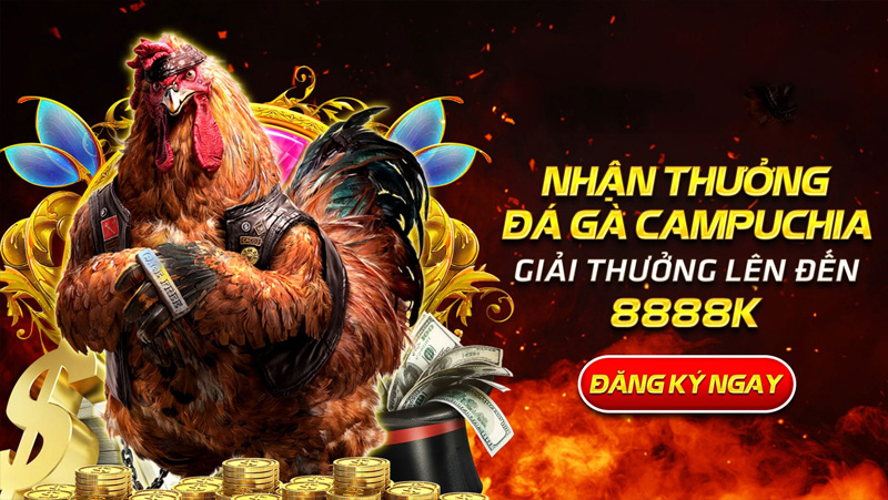 Luật chơi đá gà