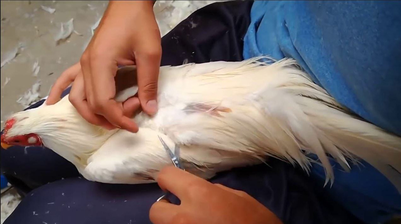 Phòng Ngừa Bệnh Tật và Tăng Cường Sức Khỏe