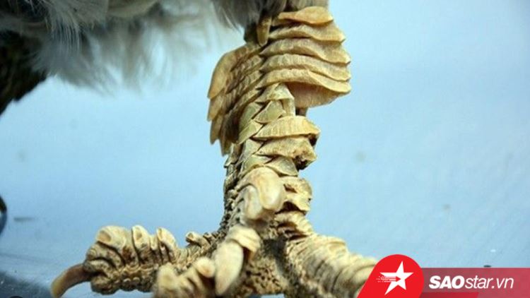 Nguồn Gốc và Phát Triển của Gà Chọi Vảy Rồng