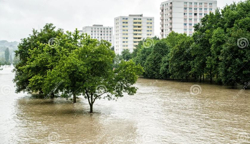 Giải mã các giấc mơ thấy nước dâng cao khác