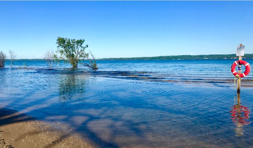 Mơ Thấy Cá Bơi Trong Nước Dâng Cao: Cơ Hội và Thành Công